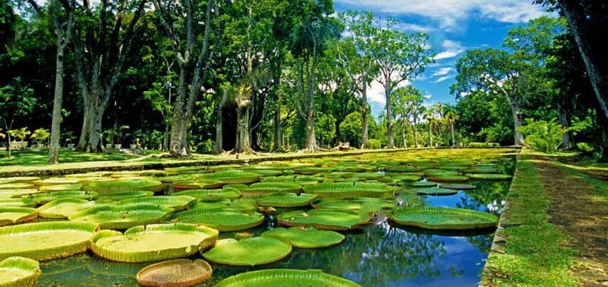 Lotus Villa, Residences Le Chaumet, Pereybere Bain Boeuf Bagian luar foto